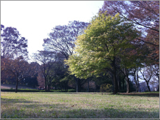 公園管理